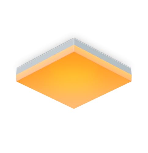 Nanoleaf Skylight Erweiterungs-Kit, 1 zusätzliche LED Deckenleuchte -...
