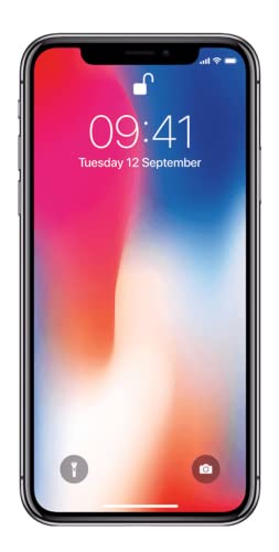 Apple iPhone X (64GB) - Space Grau