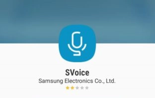 Samsung S Voice