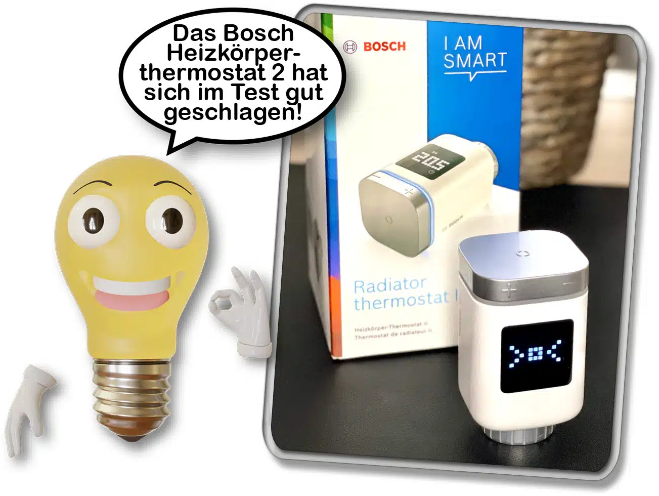 Bosch Heizkörperthermostat 2 vs. Fritz DECT 302: Welches lohnt sich?