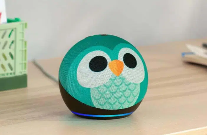 Echo Dot Kids