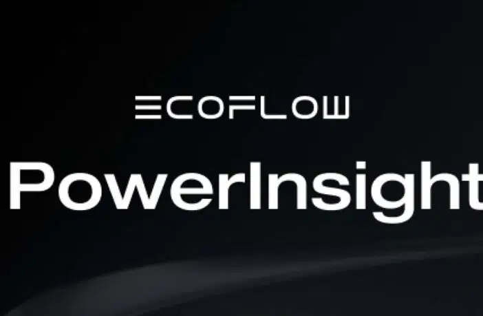 EcoFlow PowerInsight teaser