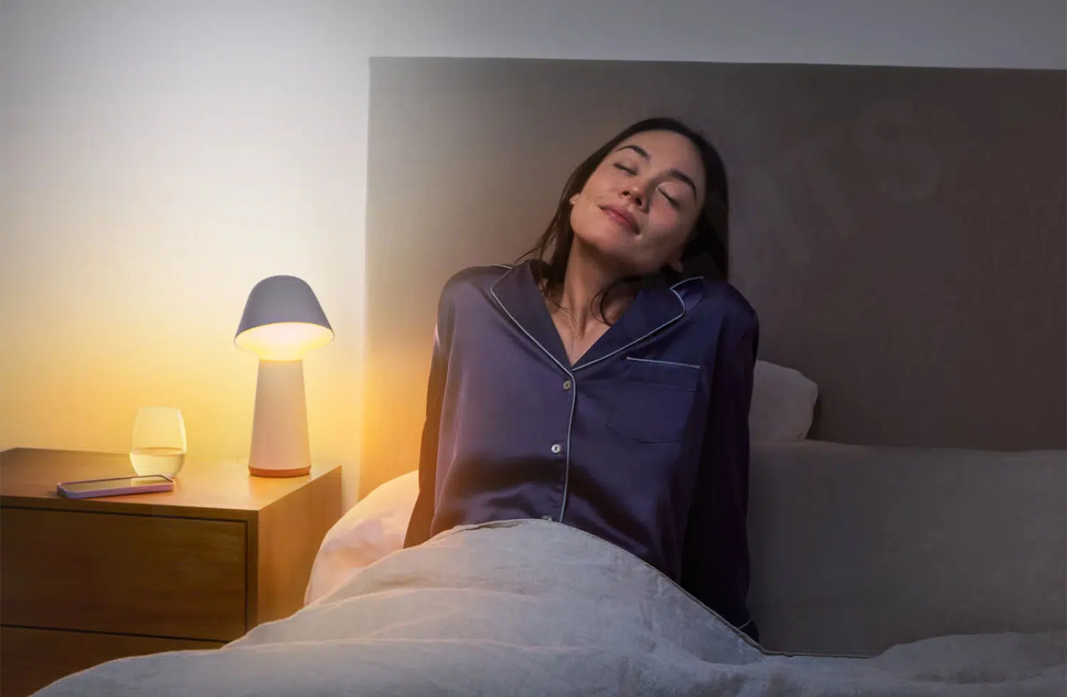 Philips Hue Twilight