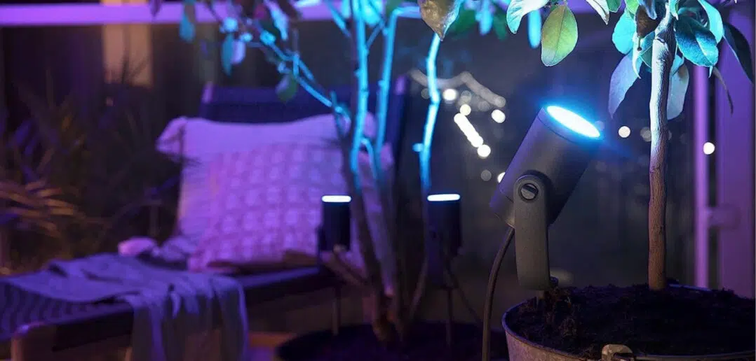 Philips Hue Lily