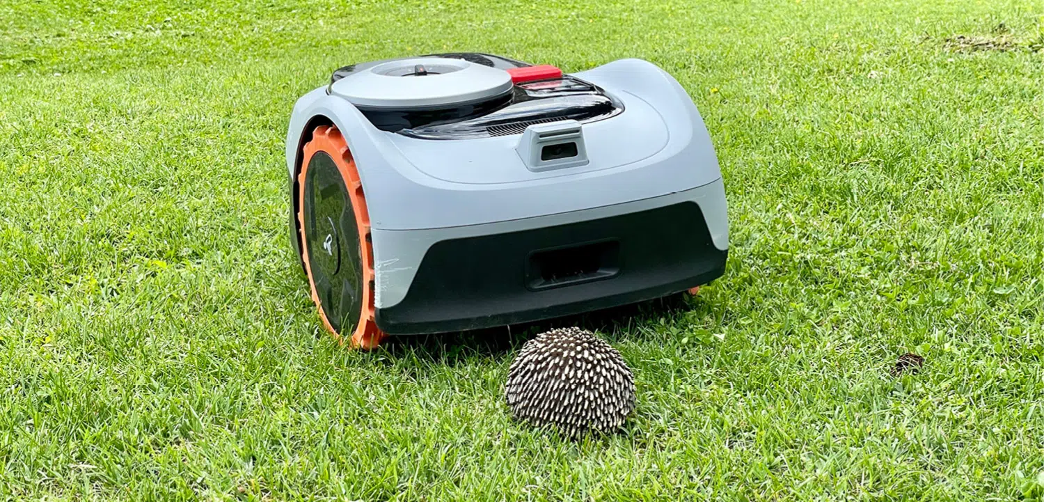 Mähroboter Igel