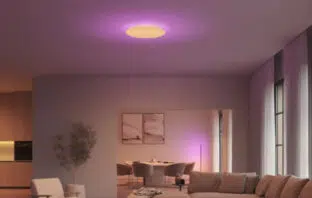 Philips Hue Datura