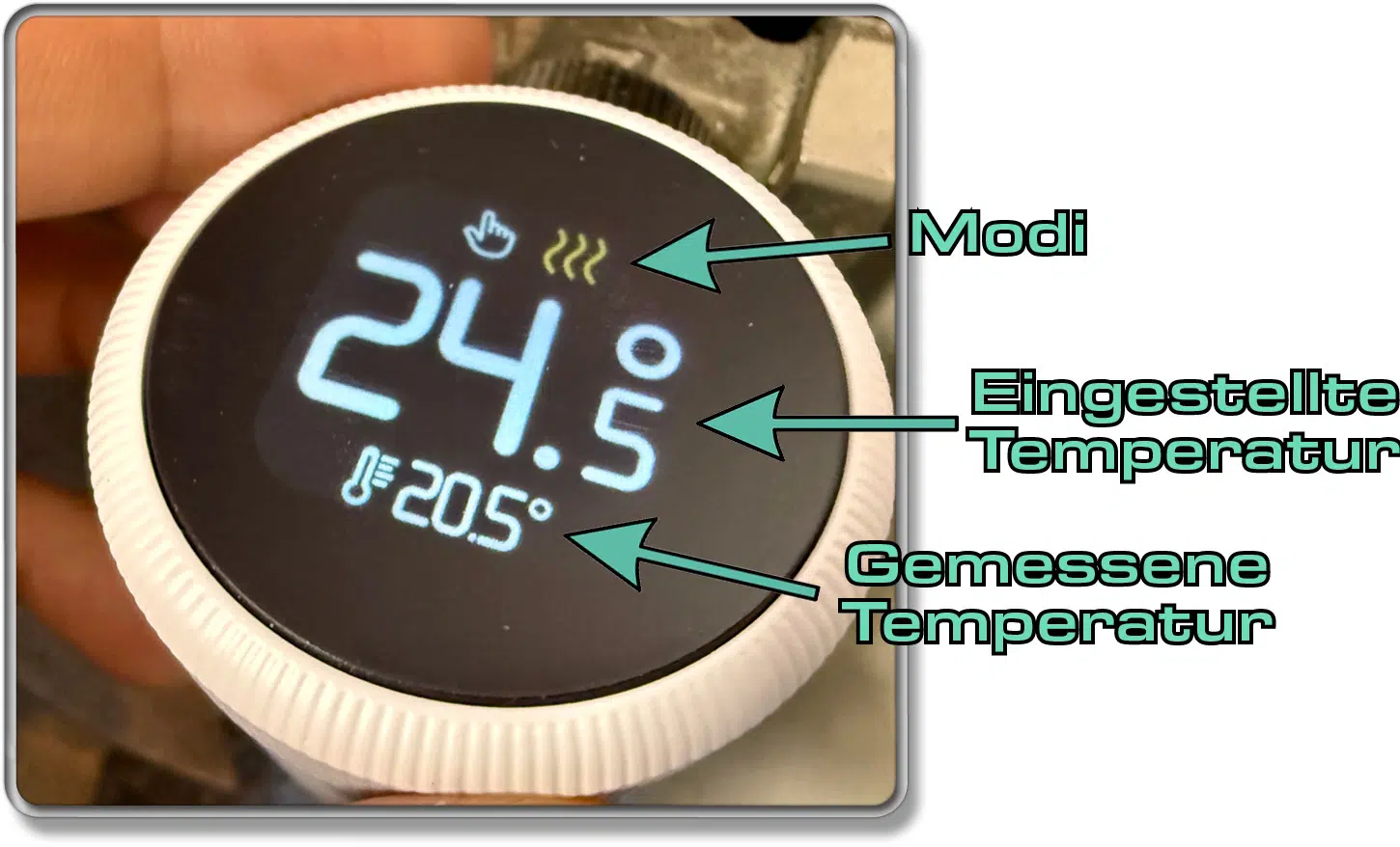 Das wird auf dem Display des tado° X Heizkörperthermostats angezeigt