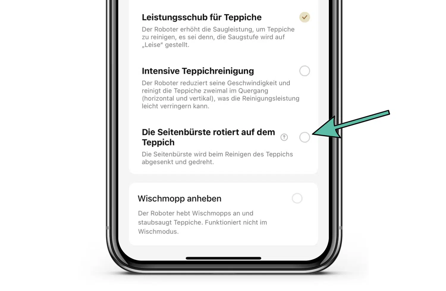 App Seitenbürste